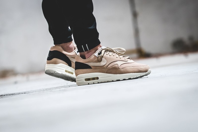 Air max 1 pinnacle online